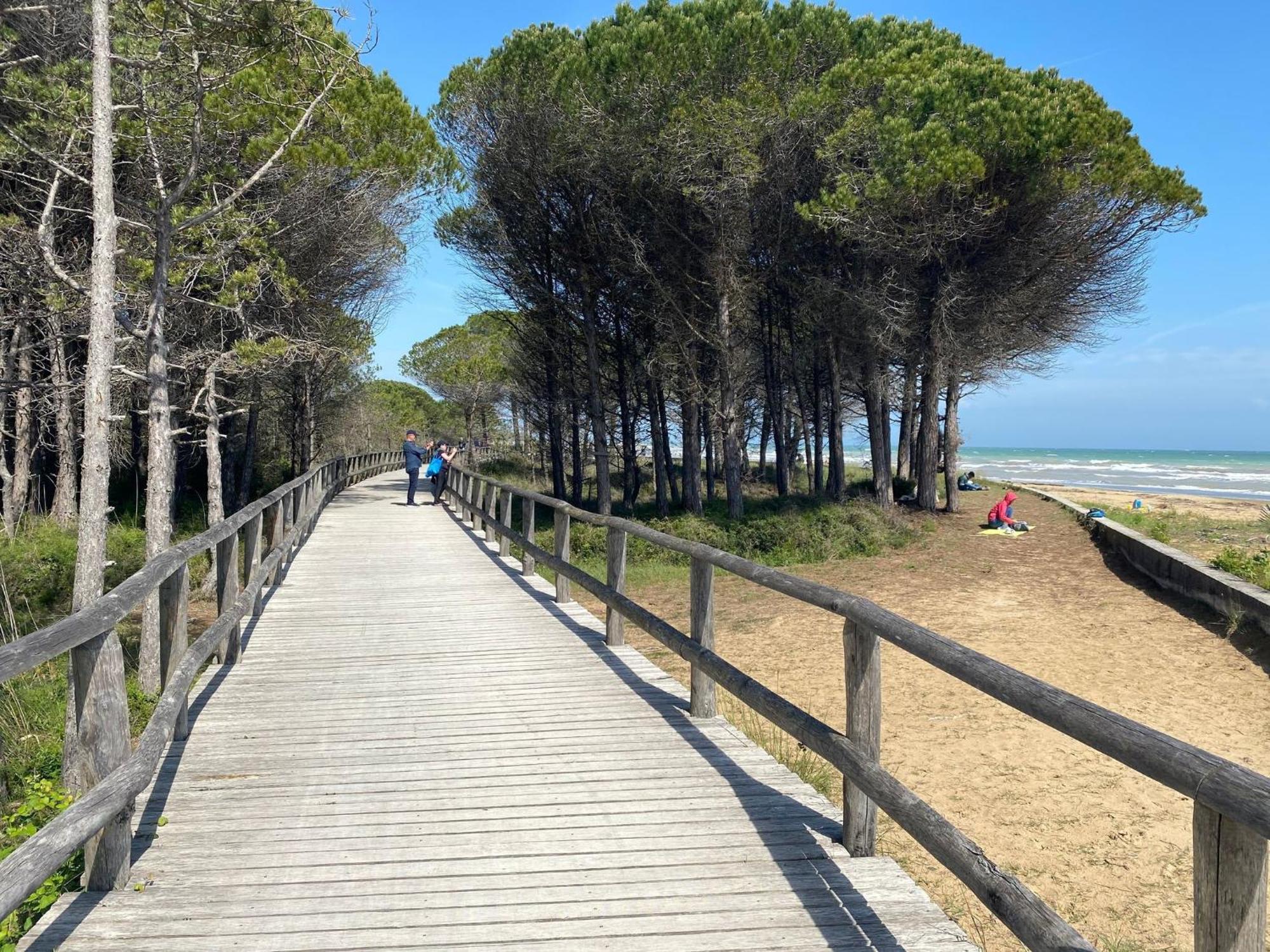 Apartment Wonderful With Terrace Bibione